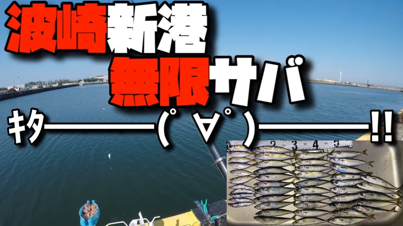 茨城県波崎新港釣行。大人気釣場でサバが大量に釣れる😆