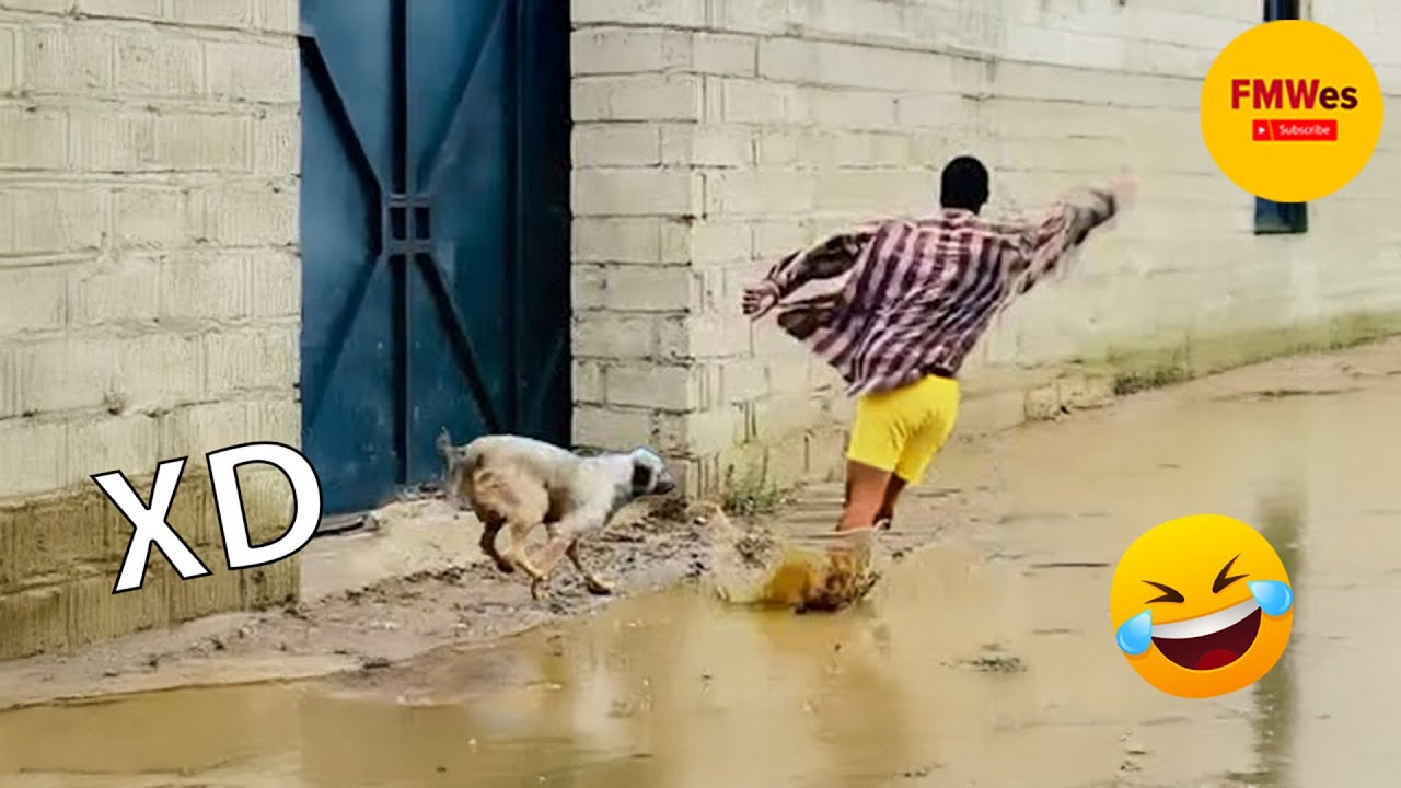 SI TE RÍES PIERDES NIVEL DIOS 