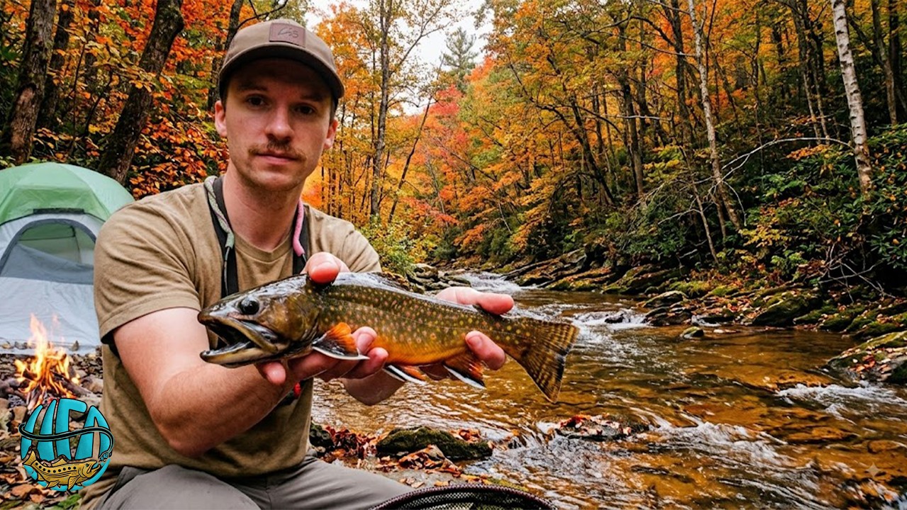 Solo Fall Camping Led to a Monster Trout Surprise! (Fly Fishing)