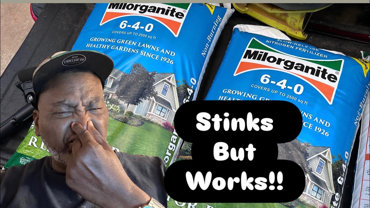 “Why I Use Milorganite in the Summer on My Bermuda Lawn – Full How-To Guide!”