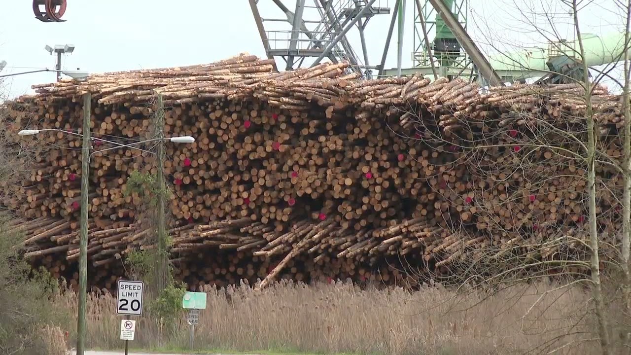 Fatal industrial accident at Vanceboro's Weyerhaeuser sawmill under investigation