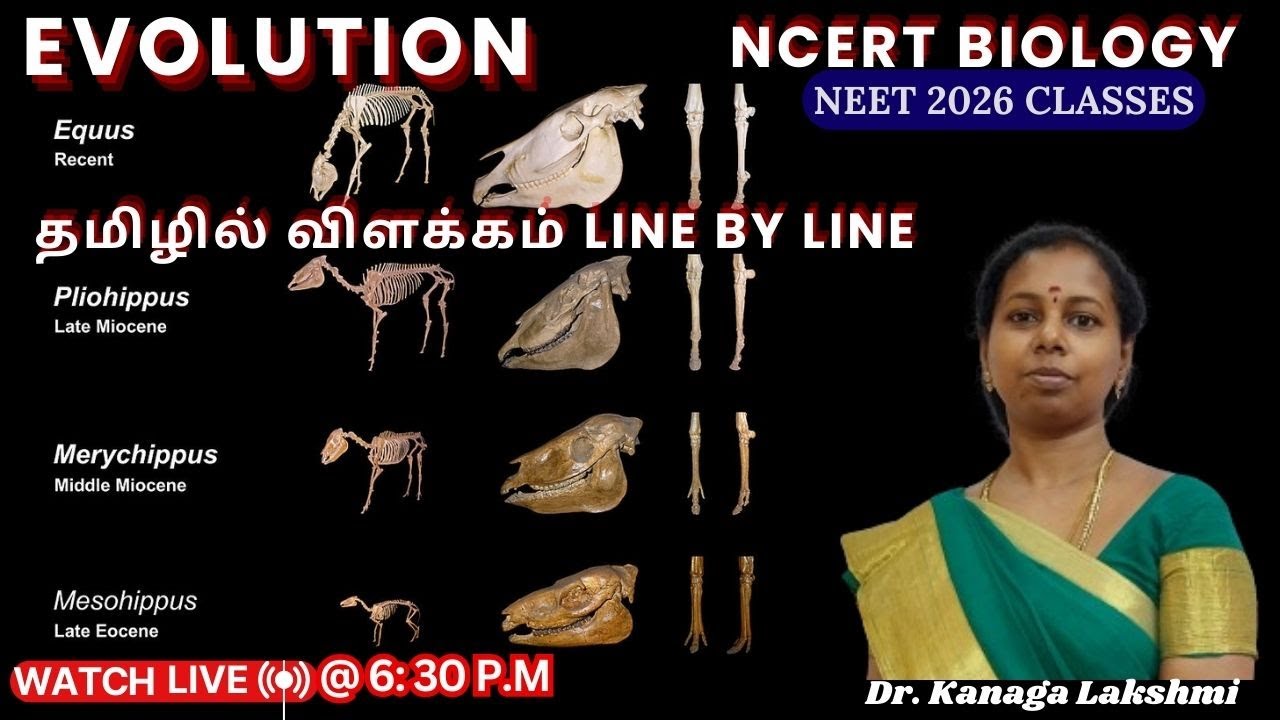 𝐍𝐄𝐄𝐓 𝟐𝟎𝟐𝟔 𝐁𝐢𝐨𝐥𝐨𝐠𝐲 𝐏𝐫𝐞𝐩 𝐁𝐞𝐠𝐢𝐧𝐬 𝐇𝐞𝐫𝐞 | 𝐑𝐚𝐩𝐢𝐝 𝐑𝐞𝐯𝐢𝐬𝐢𝐨𝐧 𝐒𝐞𝐬𝐬𝐢𝐨𝐧