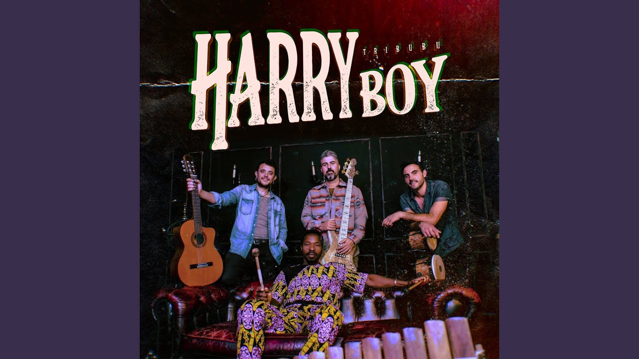 Harry Boy