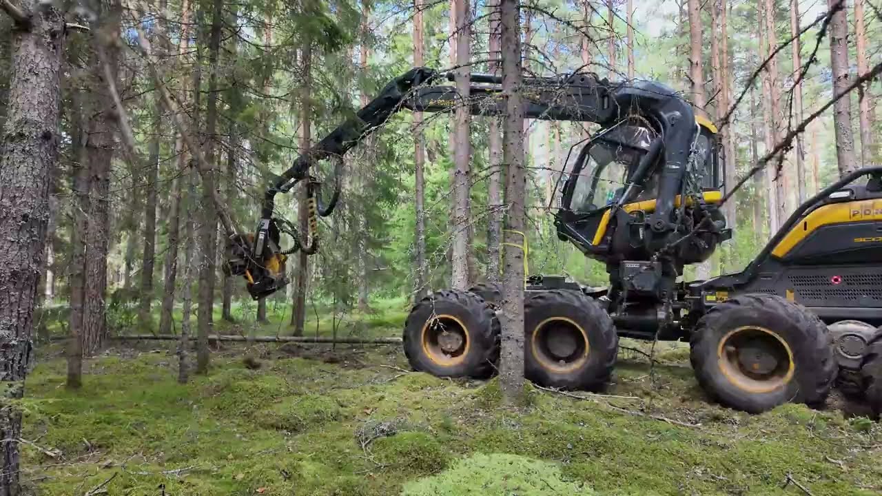 Skördare: Ponsse King Scorpion -  Gallrar skog