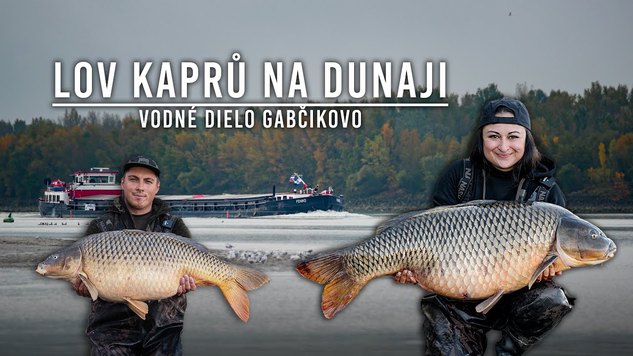 Lov kaprů na hlavním toku Dunaje - René Didi a Dominika Čížková - Říční lov kaprů.