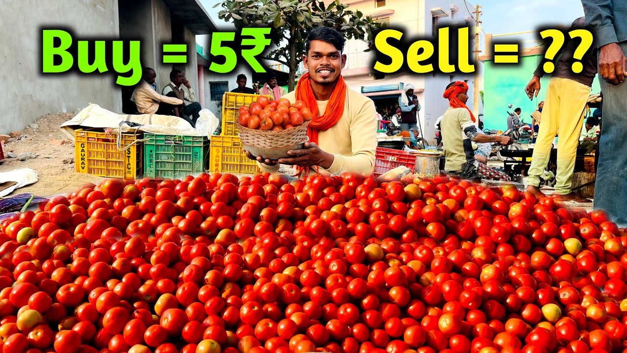 Aaj Sirf 5 Rs Me Kharida Maine 200 Kilo Tamater Kitne Rupay Me Resell Hoga!!