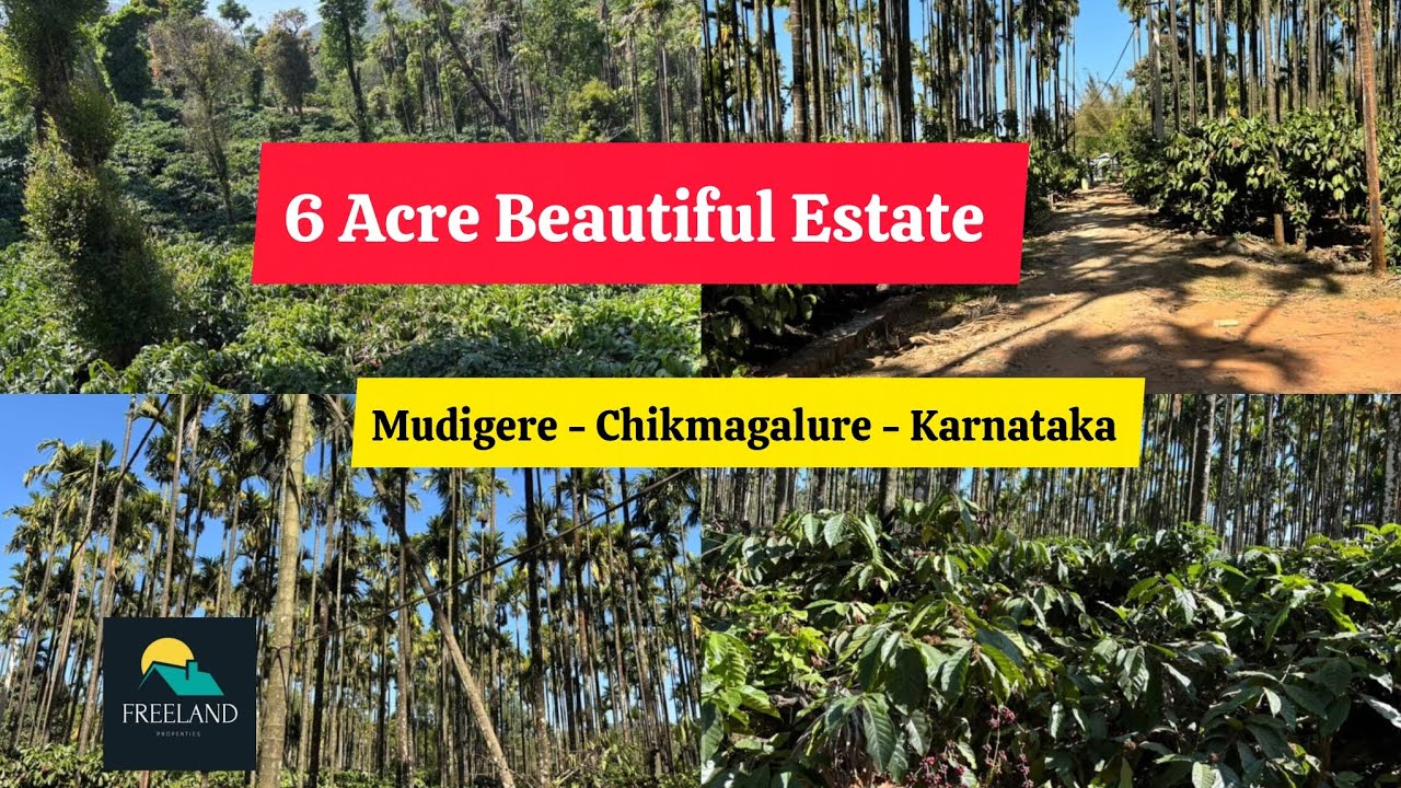 6 Acre Beautiful Coffee for sale Mudigere Chikmagalur Karnataka Resort Homestay Farmhouse plantation