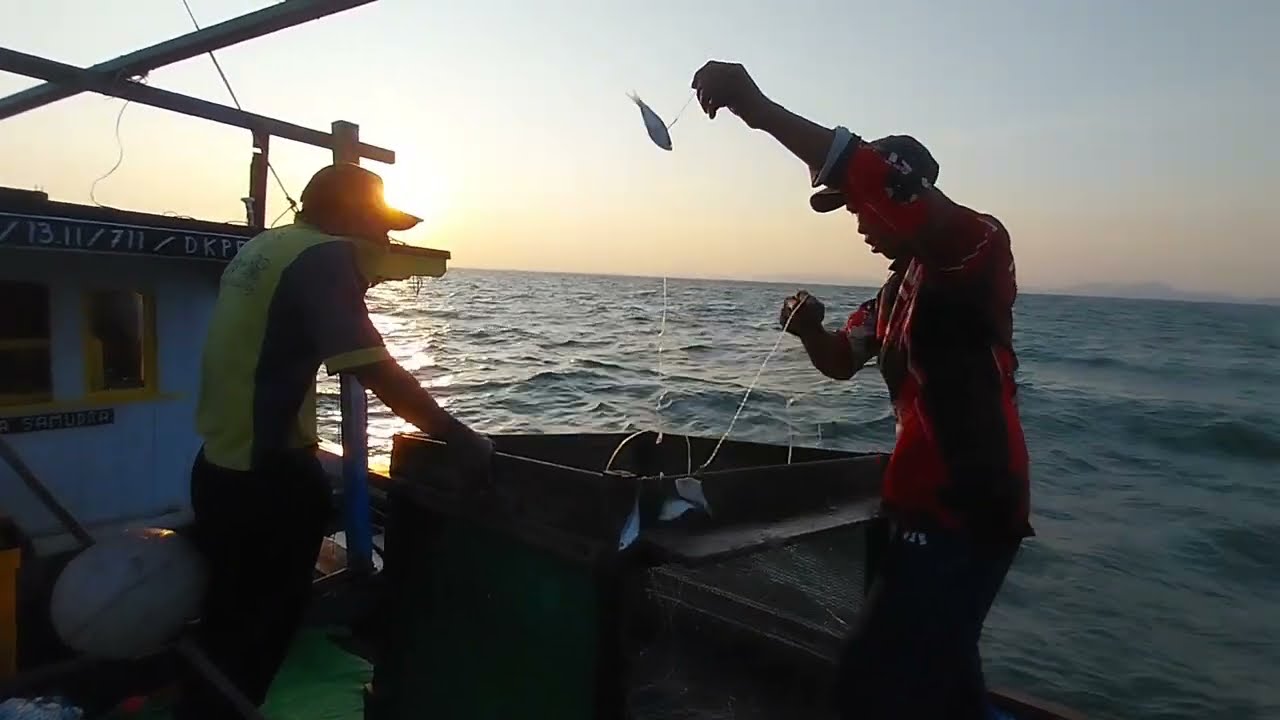 ANGKAT RAWAI DASAR STREIK IKAN BESAR-BESAR