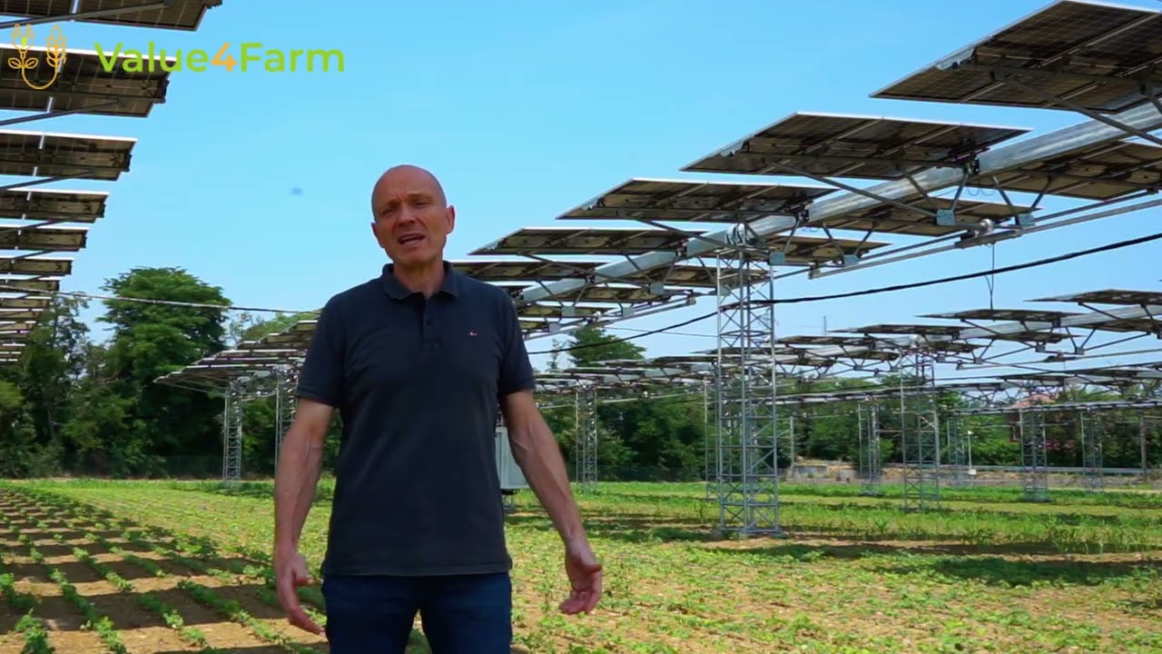 Visit our Value4Farm demo site in Italy - Stefano Amaducci and Paravidini Joao Vitor - UCSC