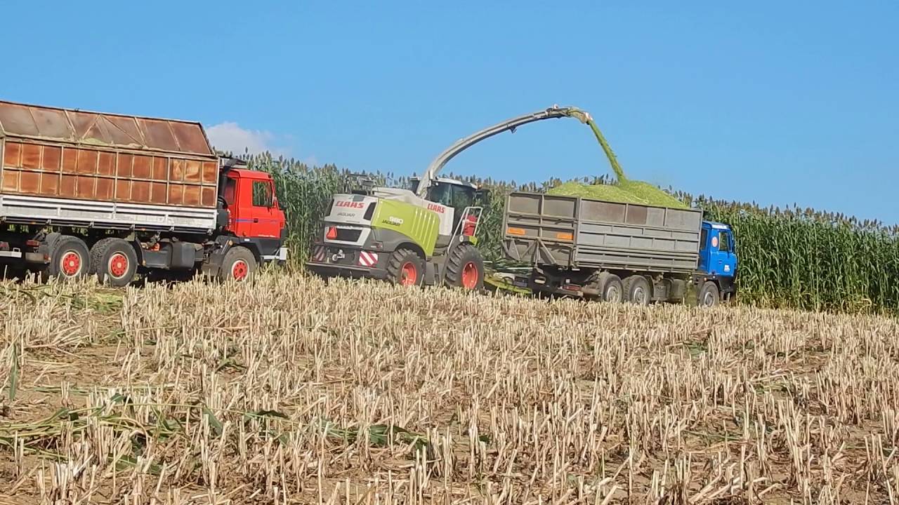 Silage 2016 Cirok