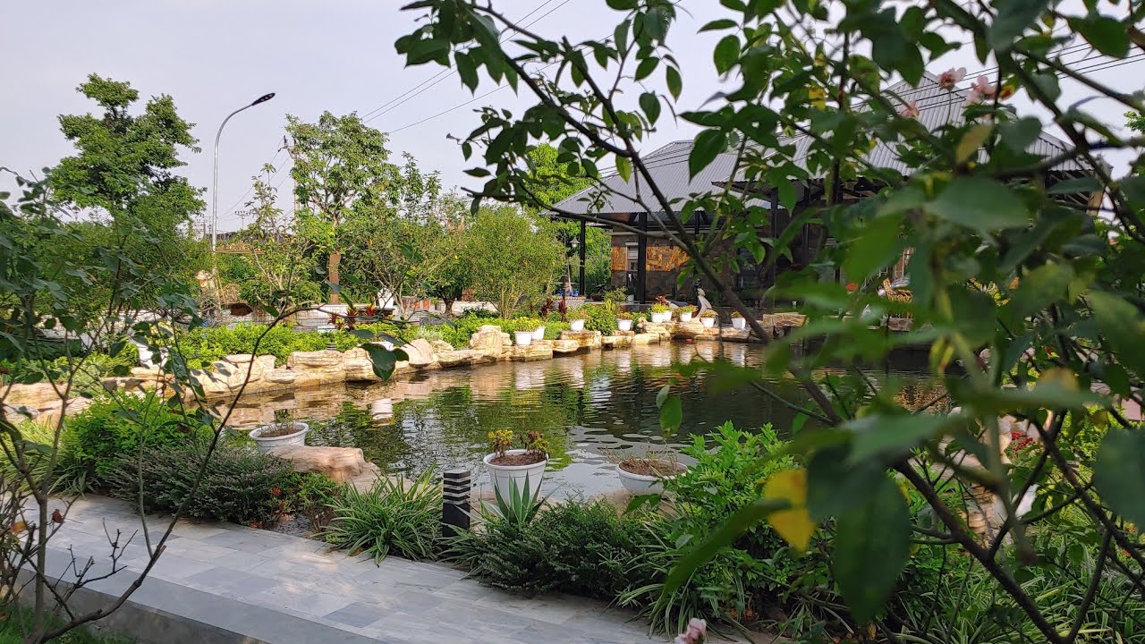 Nhà Vườn , ao Cá Koi khủng  ,sân vườn cây ăn quả 😍.house with beautiful garden koi pond.😍