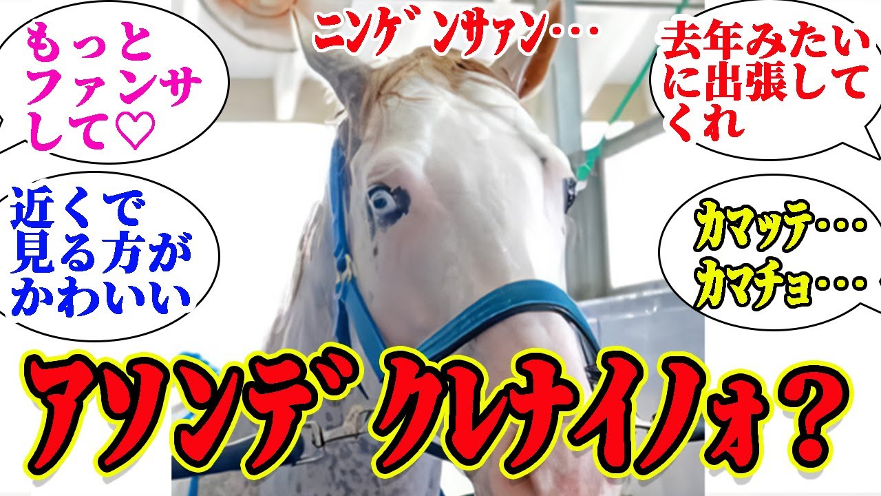 【シロ二イ】ﾆﾝｹﾞﾝｻｧﾝ…ｱｿﾝﾃﾞｸﾚﾙ？に対するみんなの反応集