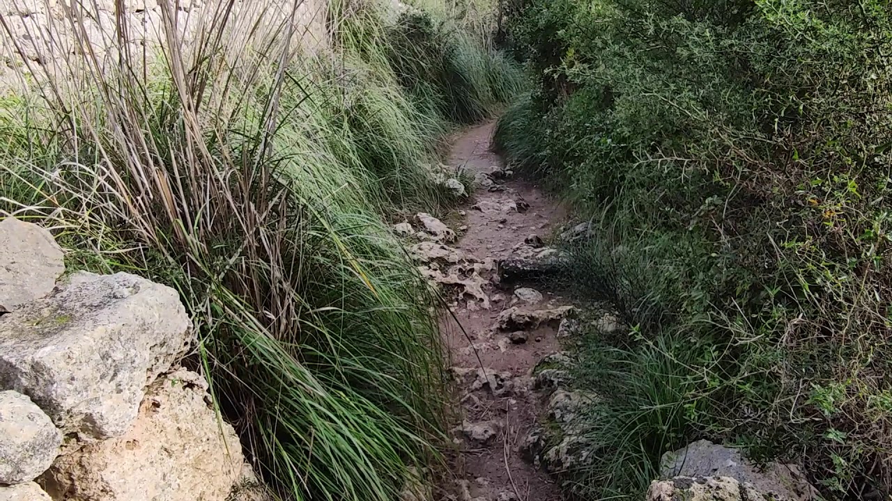 Paso a paso Menorca: Cova des Coloms (Capitulo.31)