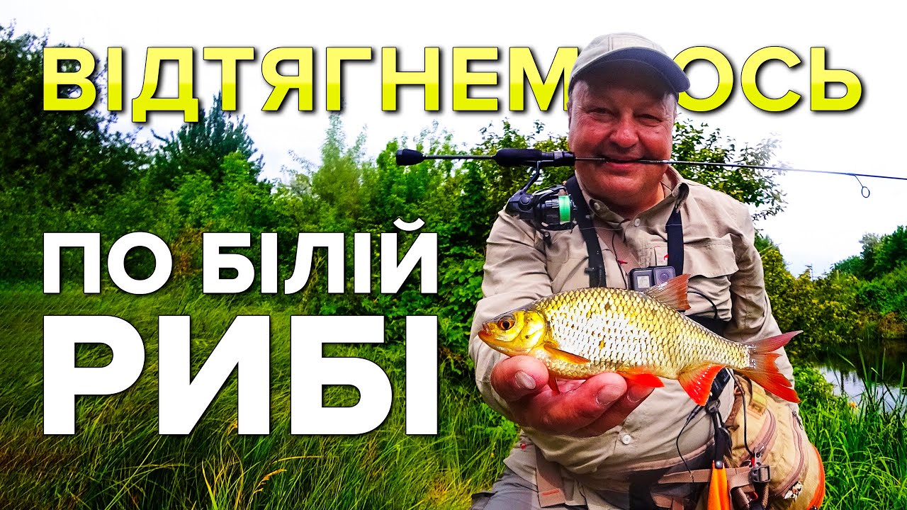 Біла риба на спінінг: з ультралайтом це абсолютно реально. Ось найкращий час для нано: початок літа!