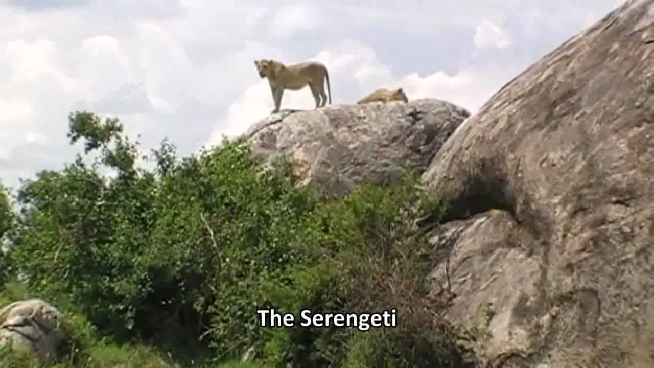 Guide to Safari holidays in Tanzania: Serengeti, Ngorongoro