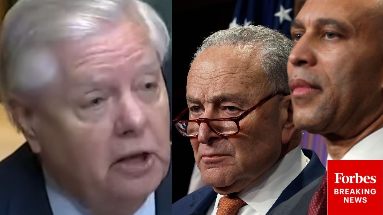 'They Think It's Good!': Lindsey Graham Claims Dems Think 'The More Illegal Immigrants—The Better'