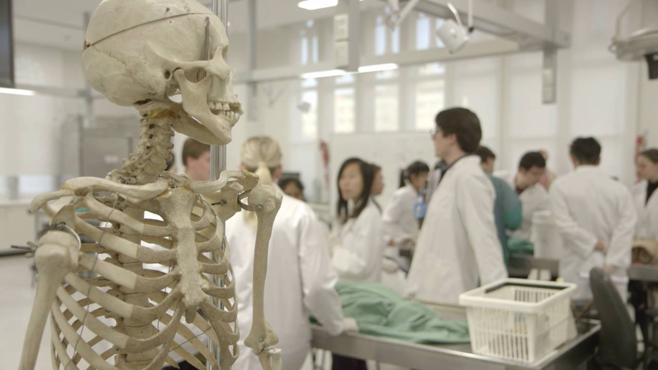 What do we look for in a Sydney medicine applicant?