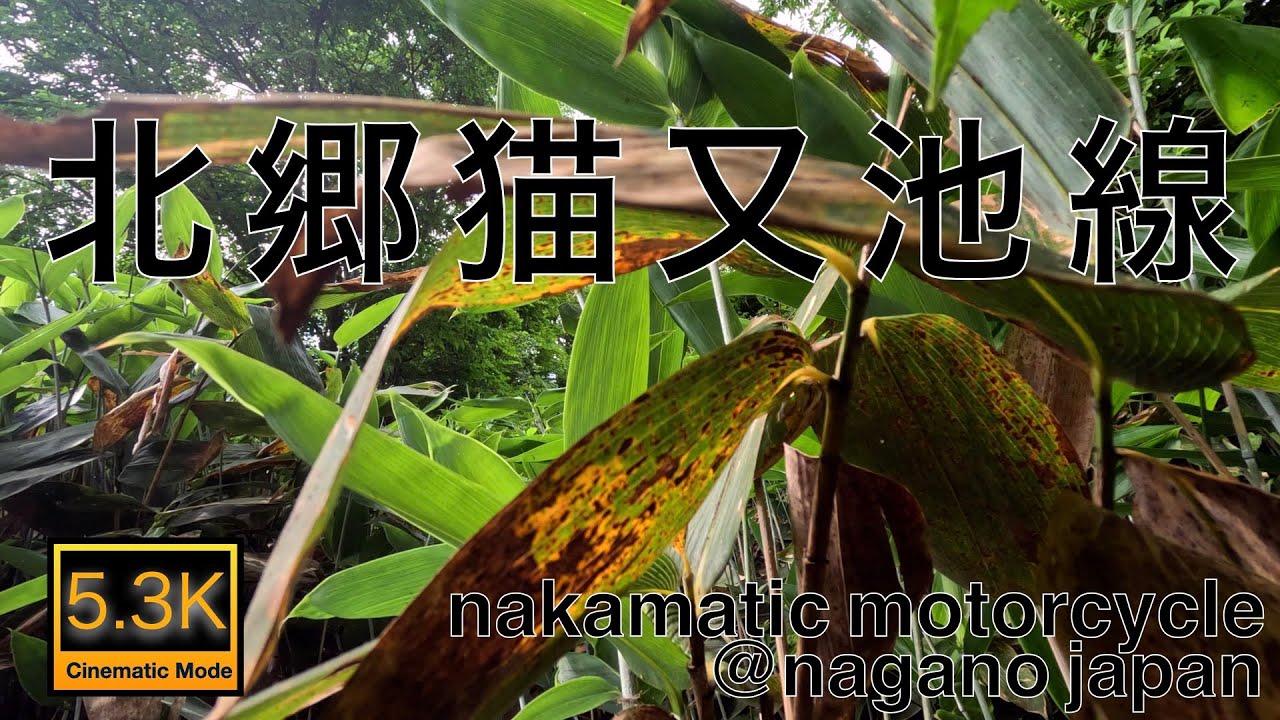 #225   長野県長野市林道ファイル［北郷猫又池線］
