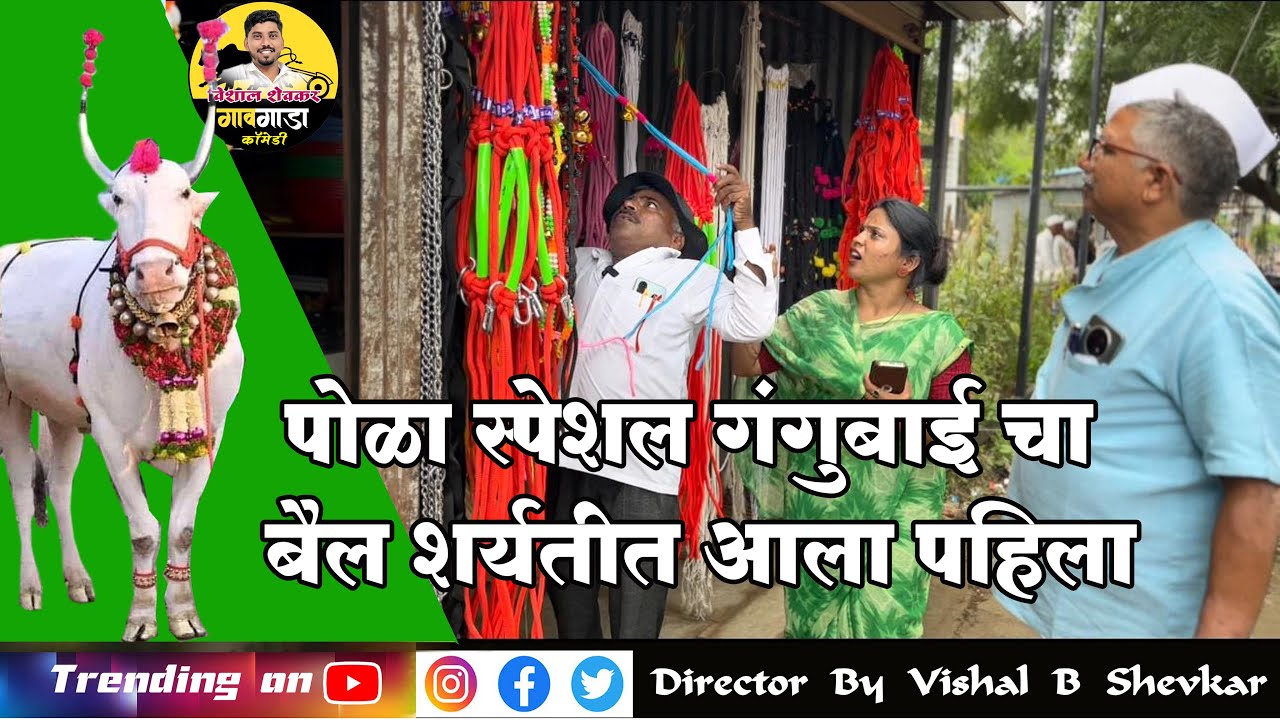 गंगुबाई ची पोळ्याची तयारी हिंदकेसरी ची काढायची बँड लावून भव्य मिरवणूक 