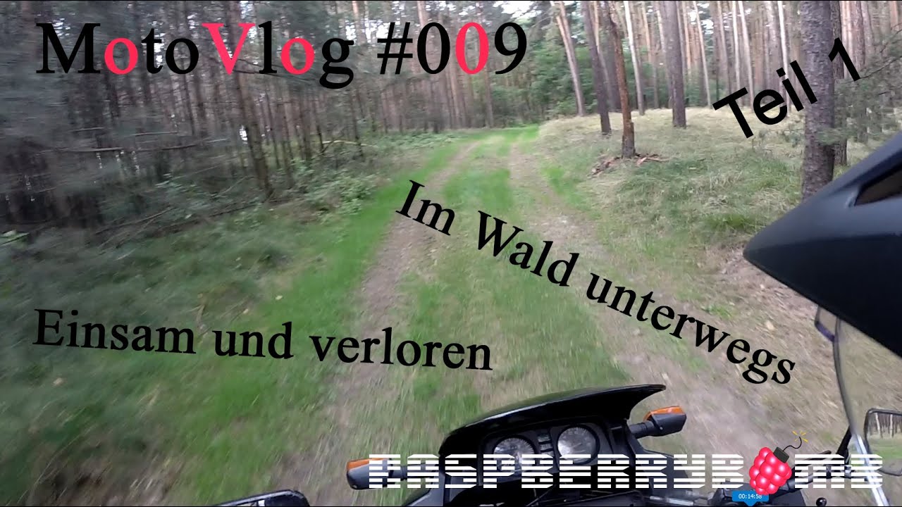Im Wald unterwegs | Einsam und verloren Teil 1