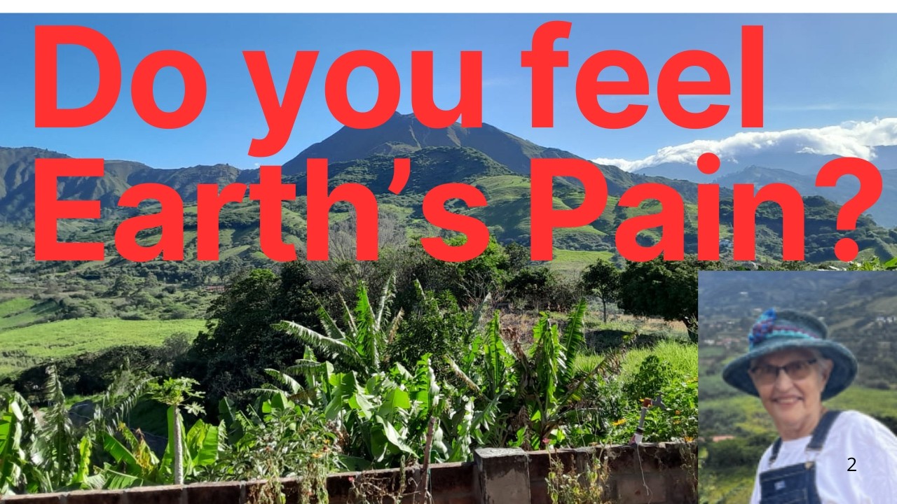 Sustainability: Do You Feel the Earth’s Pain? You Might Be a GriefWarrior.