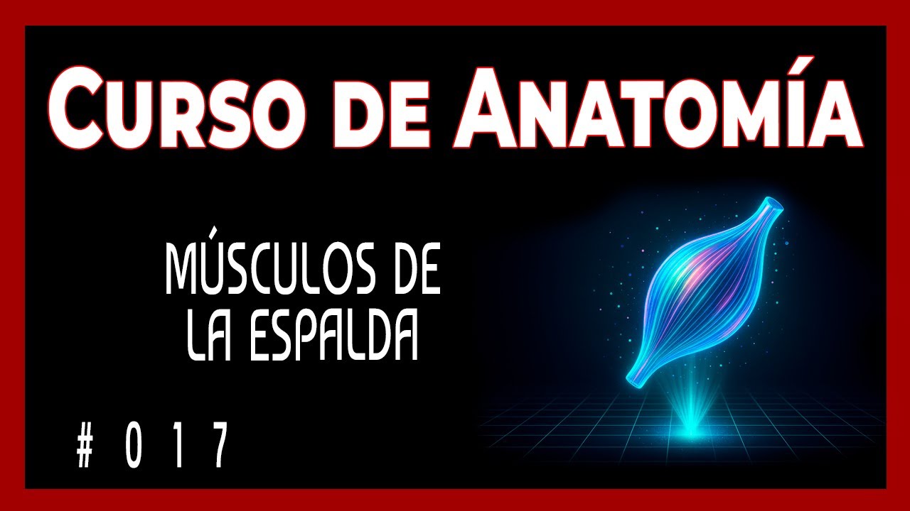 ¿Sabías que tu espalda es como el mástil de un barco?