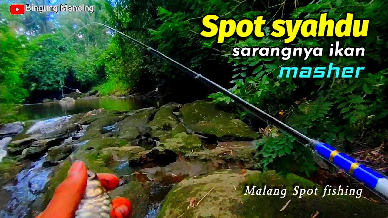 Spot Mancing wader sengkareng di Malang paling recommended !!