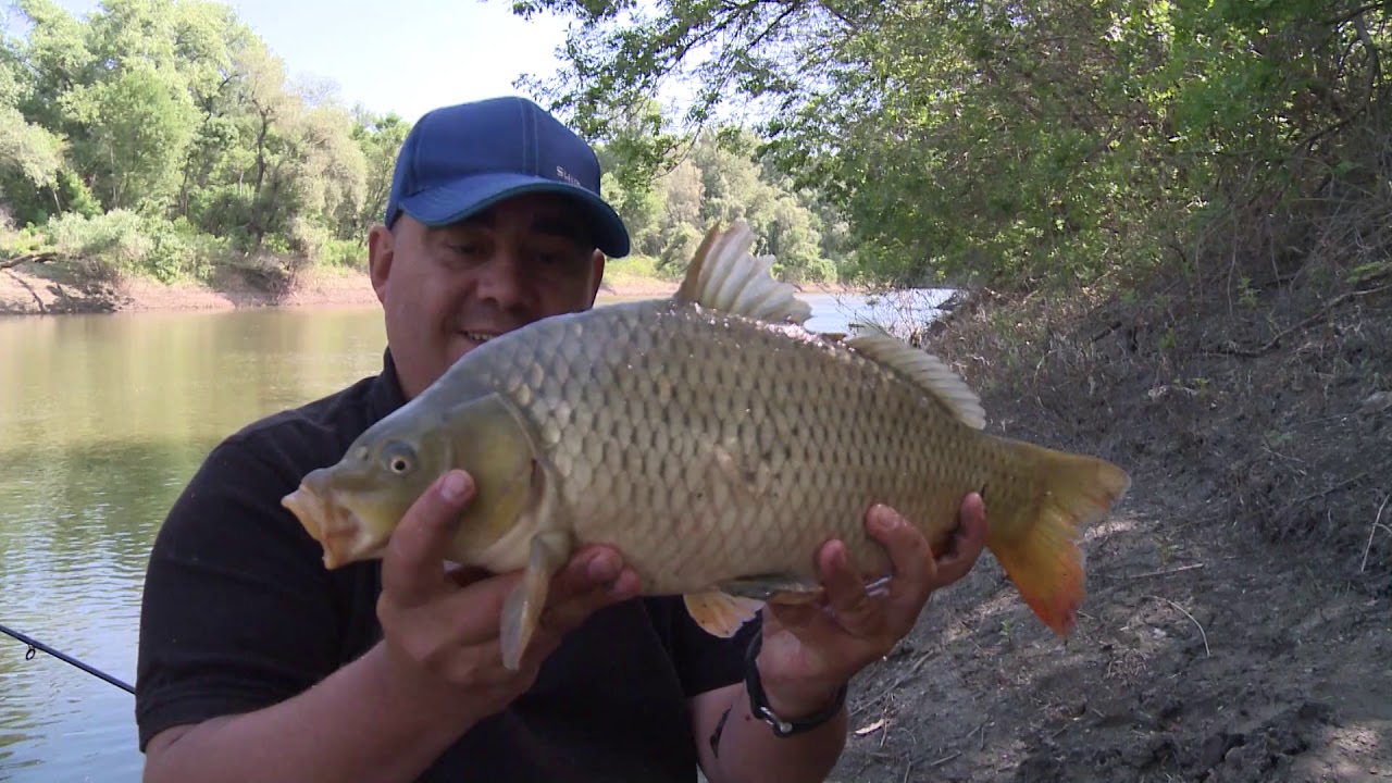 Pescuit la Feeder pe rau