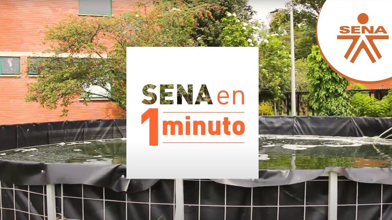 SENA en 1 minuto -  Acuaponia
