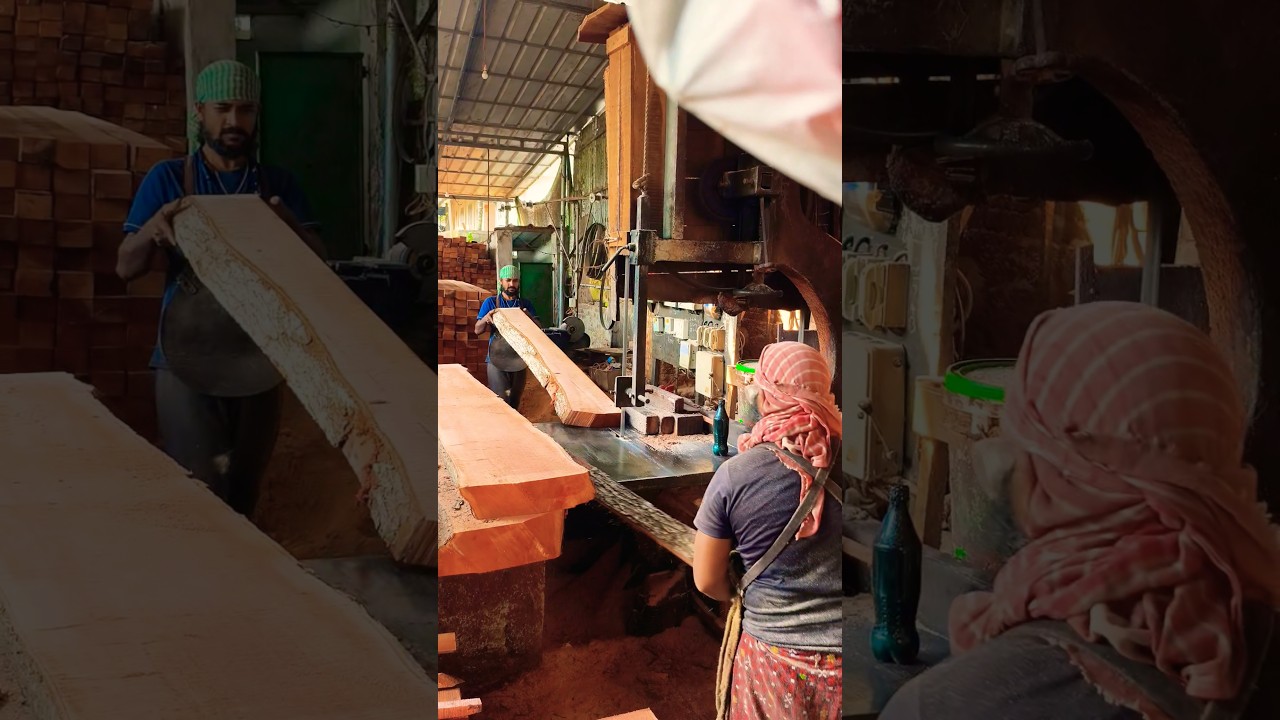 Wood cutting Power Saw Slices Through Massive Log LikeButter Insanely Satisfying 