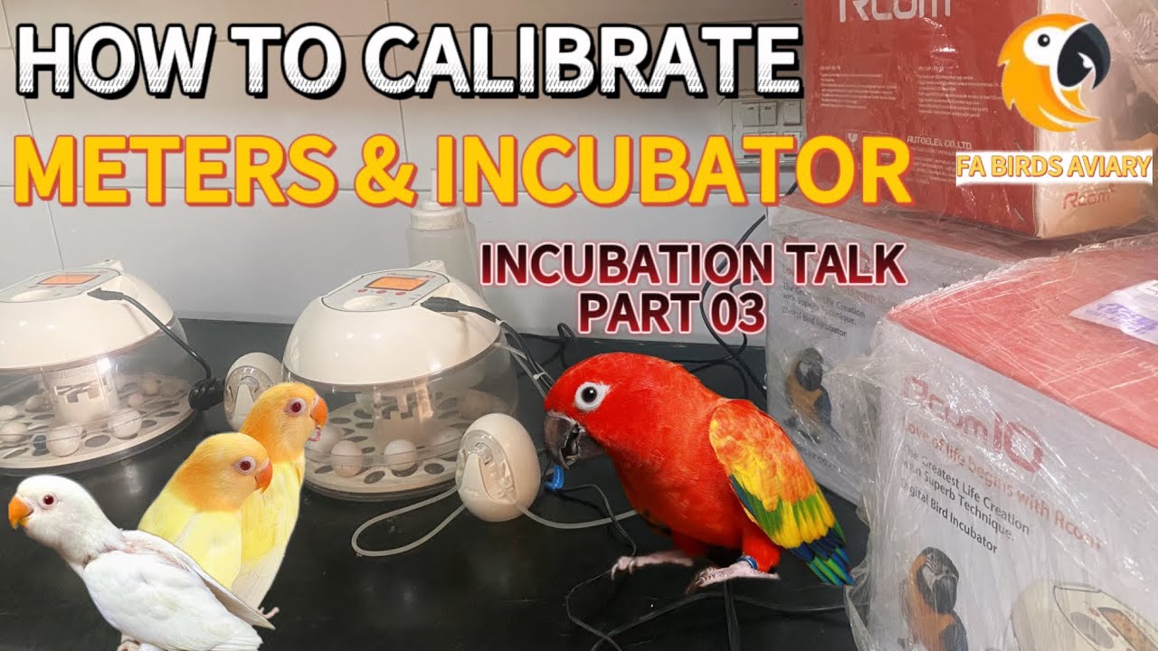 HOW TO CALIBRATE INCUBATOR | HOW TO CALIBRATE METERS