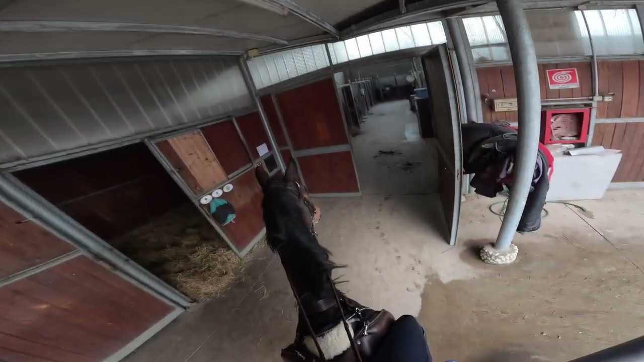 pov: lezione di salto ostacoli (con gopro)