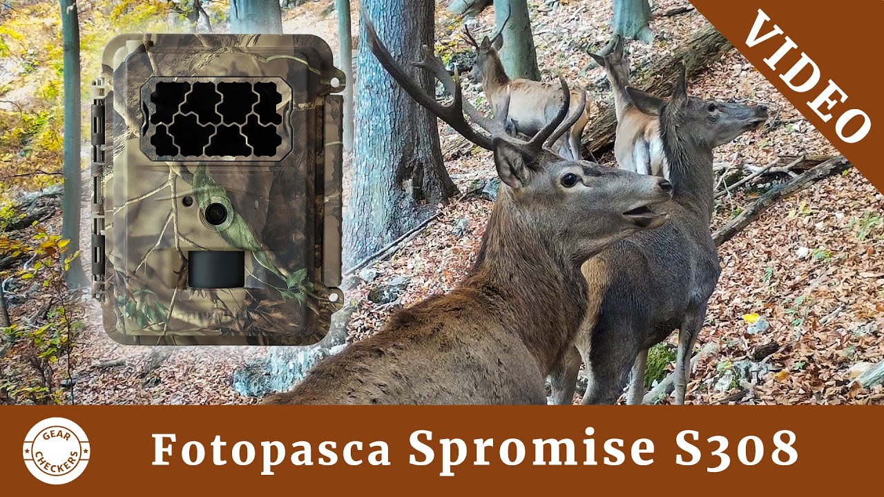 Fotopasca TETRAO Spromise S308 | VIDEO