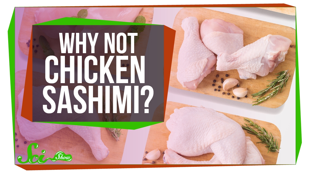 Why Do We Eat Raw Fish But Not Raw Chicken?