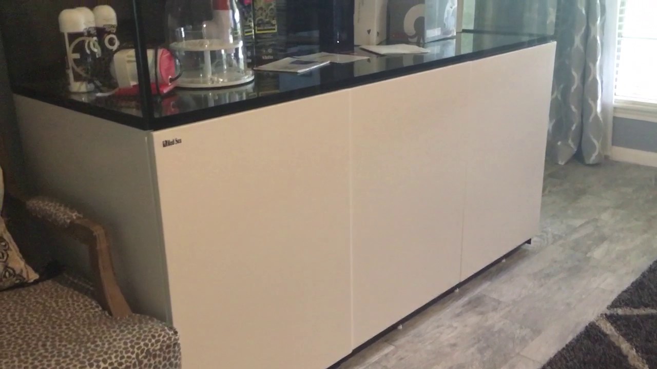 Red Sea reefer 750 xxl update 1