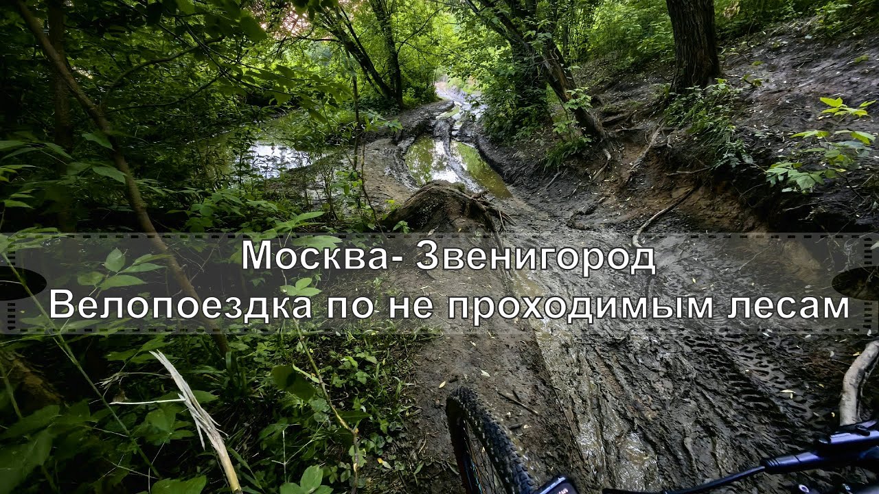 Москва- Звенигород. Велопоездка. Жесть в лесу. 2 Июля 2023 Год.