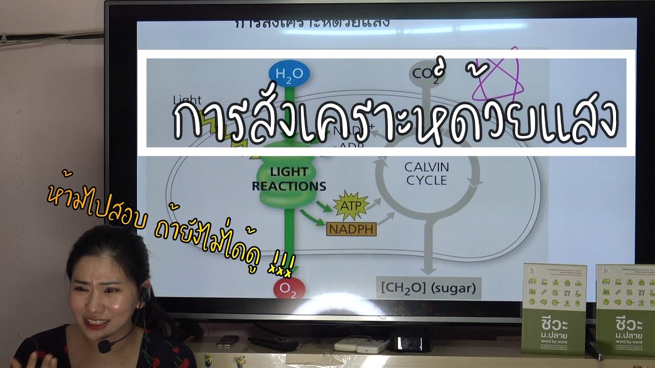 เก็งทุกจุดออก + สรุปการสังเคราะห์ด้วยแสง