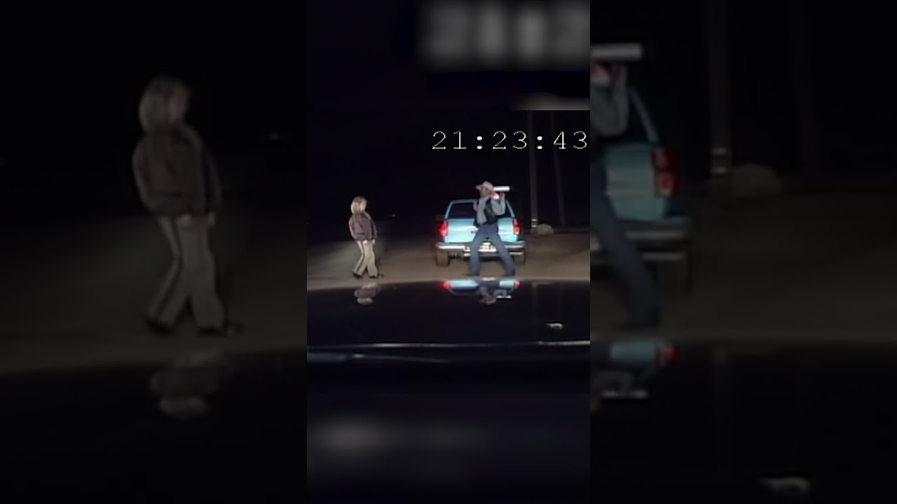 Drunk Catwalk | Reno 911!