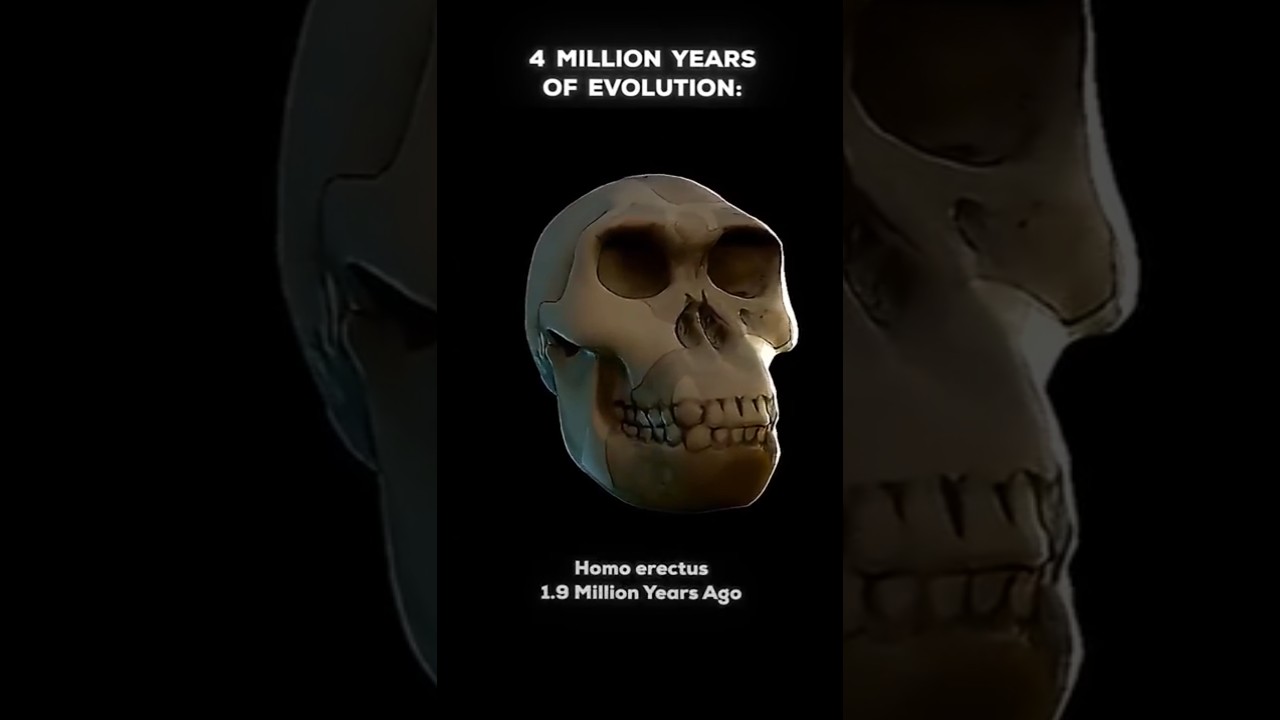 66 Million vs 4 Million Years of Evolution 🚀