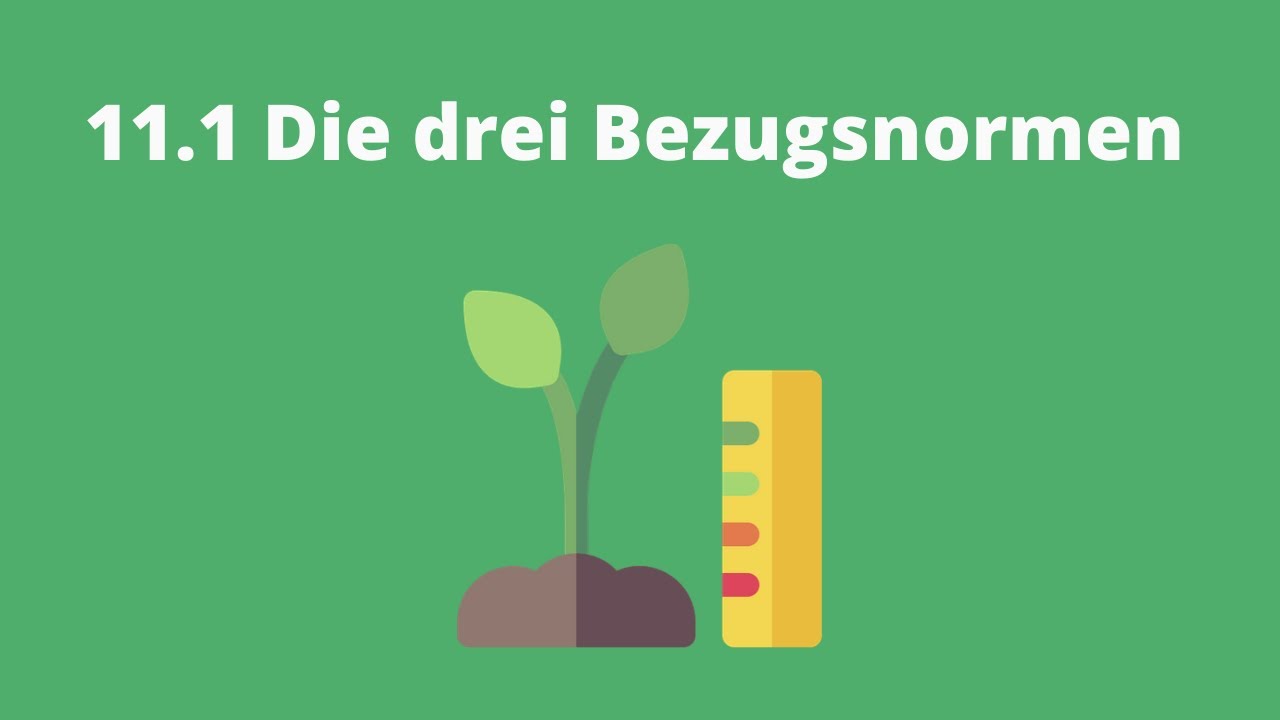 Motivation und Unterricht: 11.1 Die drei Bezugsnormen