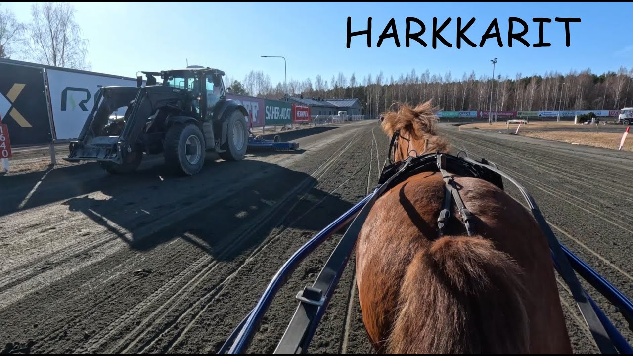 Paukku harkkareissa, ei tammaa huvittanu, juokse ite!