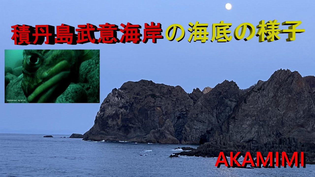 【北海道の釣り／水中映像】積丹島武意海岸の海底の様子
