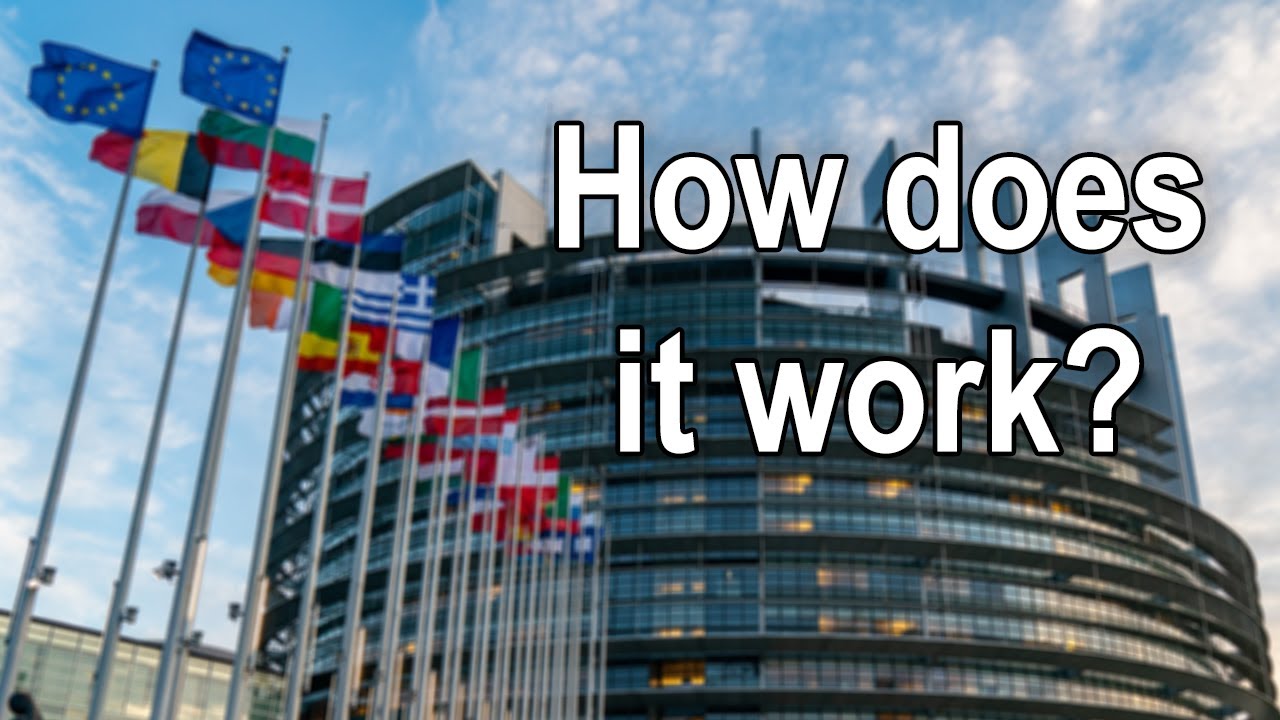 How does the European Parliament work?