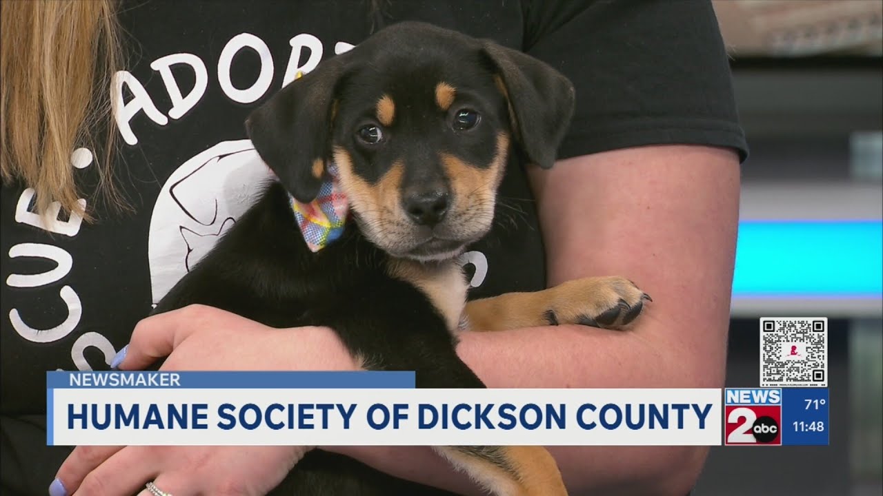 Newsmaker: Humane Society of Dickson County