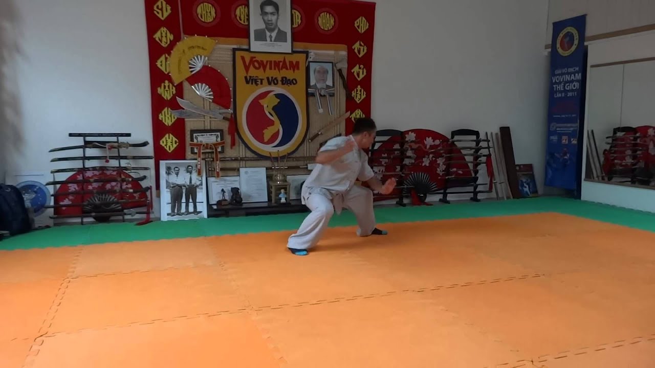 陳超師傅 新架二路 Master Chen Chao new frame 2nd form