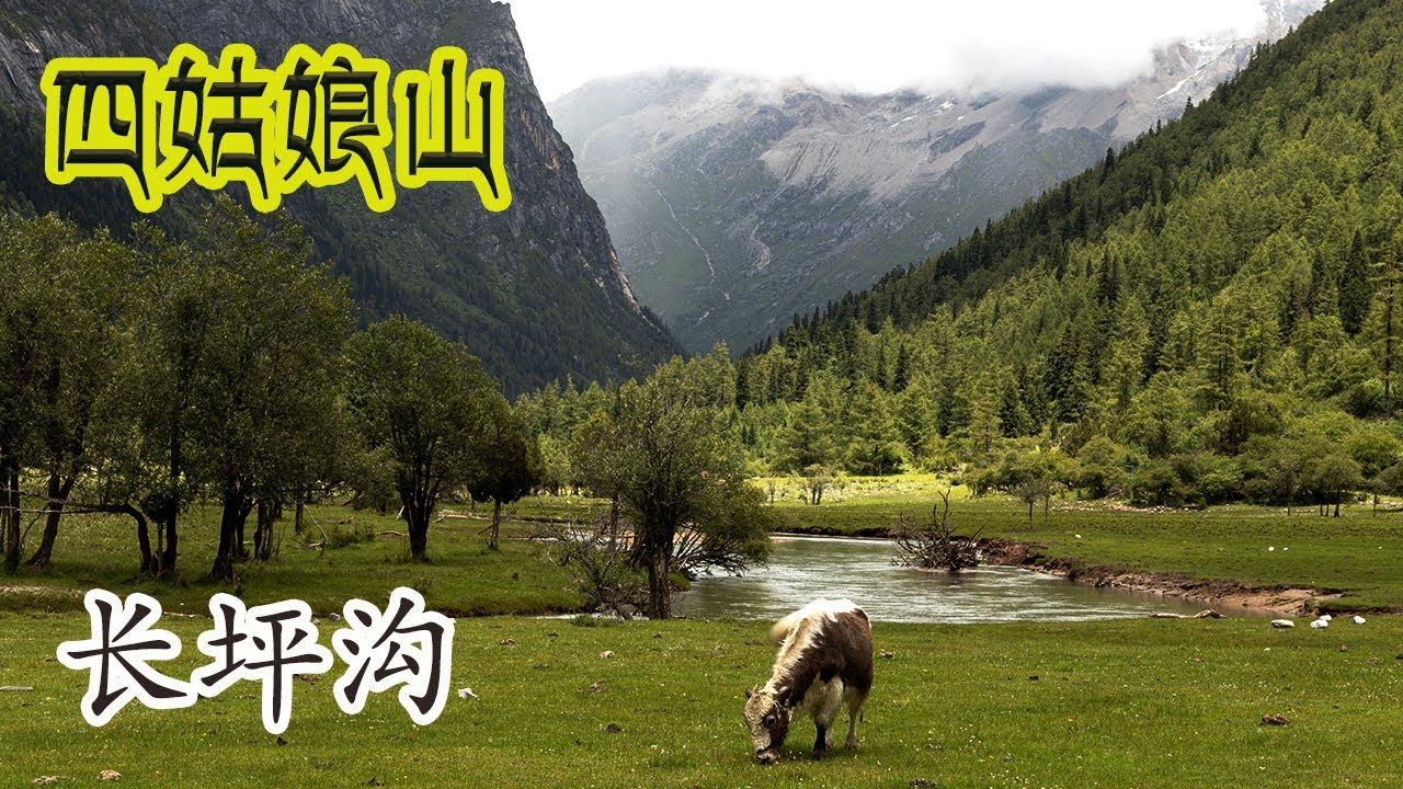 Changping Valley, Mount Siguniang, Sichuan, China