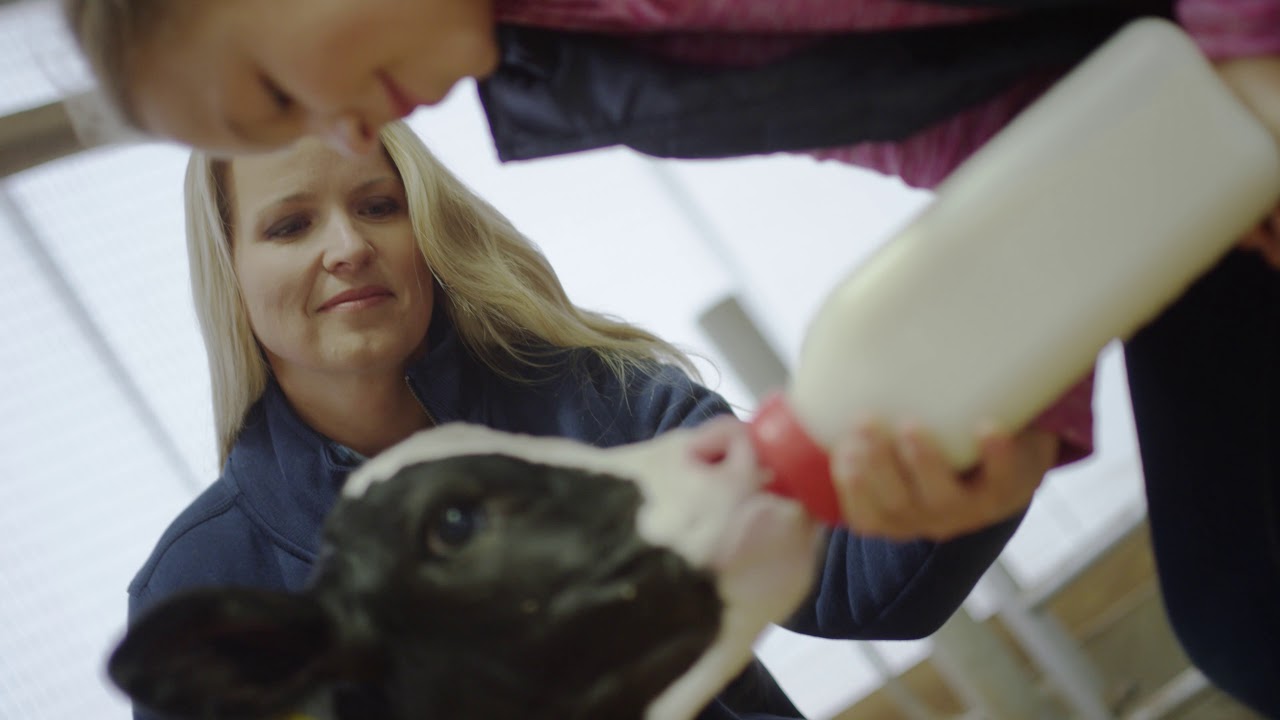 LaCrosse Alpha Range Rubber boot