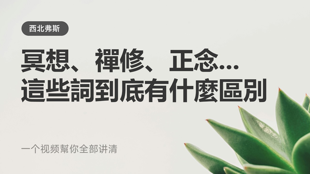 冥想、正念冥想、正念、禪修、坐禪、打坐...這些詞到底有什麼區別？一個視頻全部講清楚