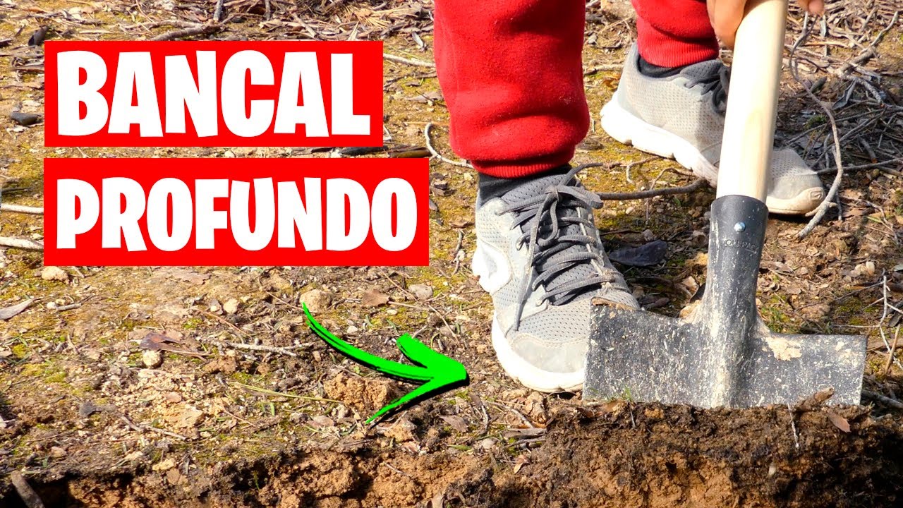 SOLO el 1% Conoce los BANCALES PROFUNDOS (Serie HuertadeZero) | La Huerta de Ivan