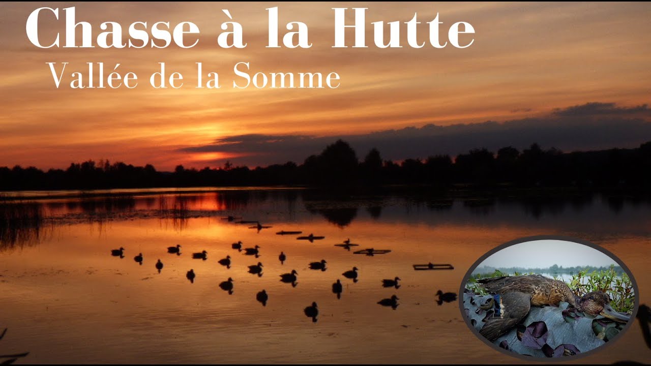 CHASSE à la Hutte (vallée de la Somme)